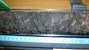 改正地方自治法「有事対処」をすぐ「戦争準備」と捏造するどこかのアホ