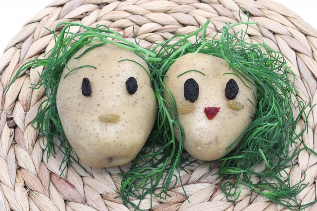 男女共同参画のナショナルセンターは必要か　その3 ゴールを見失った男女共同参画事業